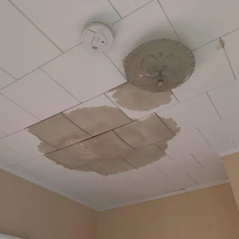 Ceiling Water Damage Repair in Rosita South, TX