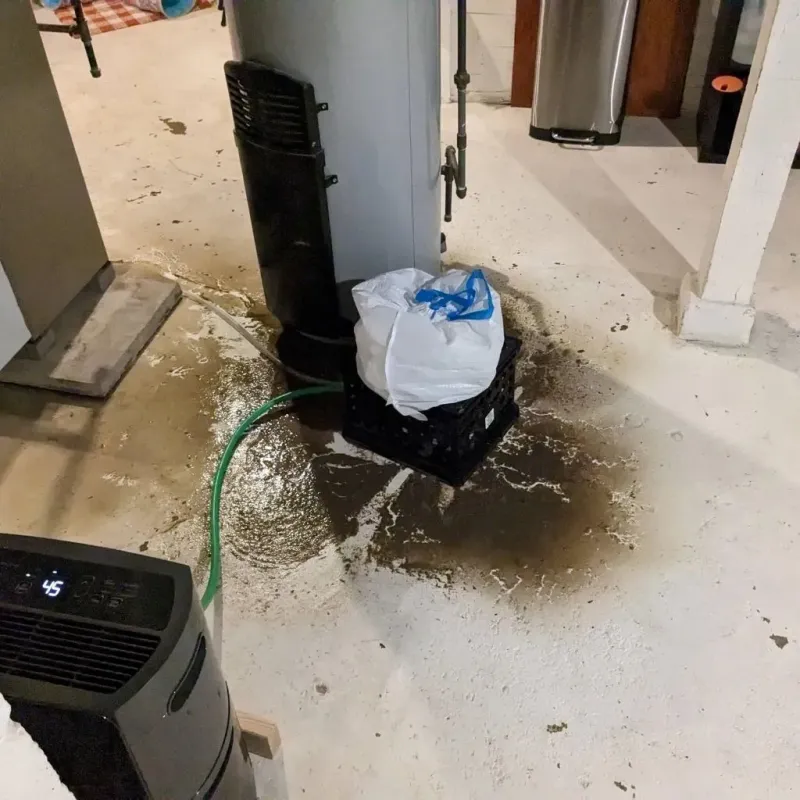 Sewage Backup Cleanup Service in Rosita South, TX